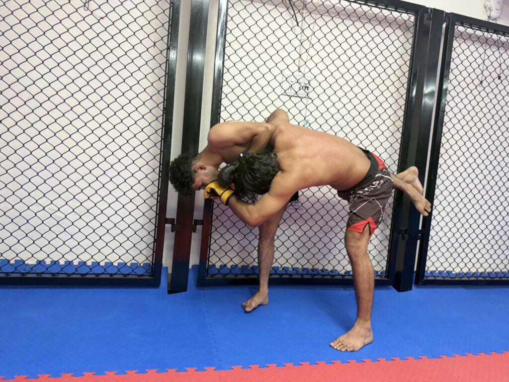 MMA