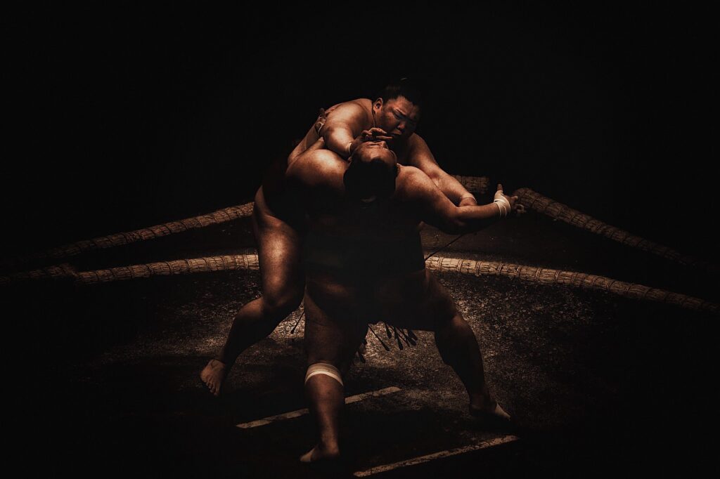 sumo, wrestling, japan, wrestler, sport, fight, athletes