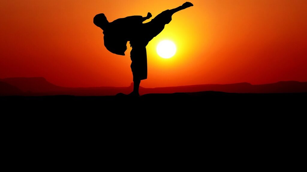 karate, sunset, nature, harmony, silhouette, the year, mental, skills, action, demonstration, karate, karate, karate, karate, karate